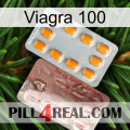 Viagra 100 new13